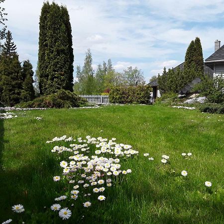 Villa Alejas Namins Jurgi Esterno foto