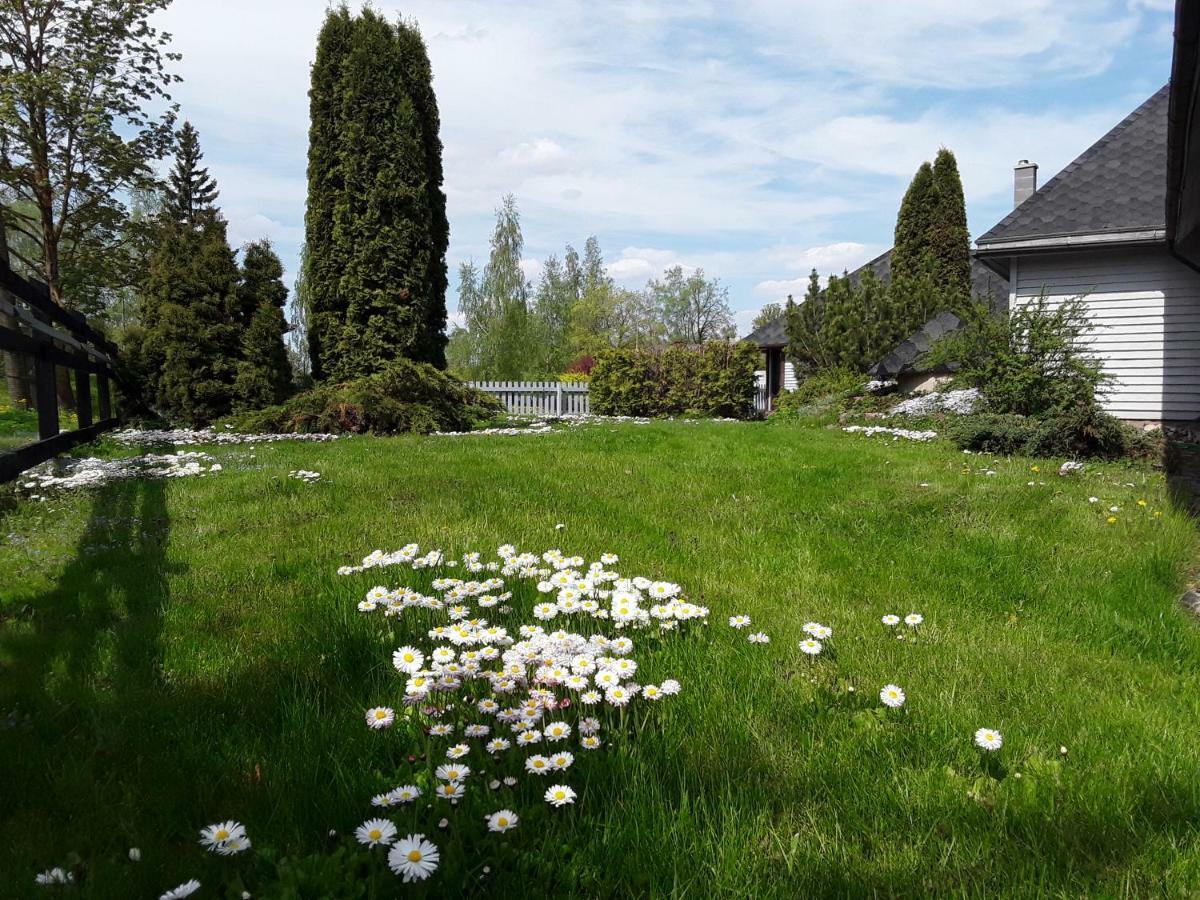 Villa Alejas Namins Jurgi Esterno foto